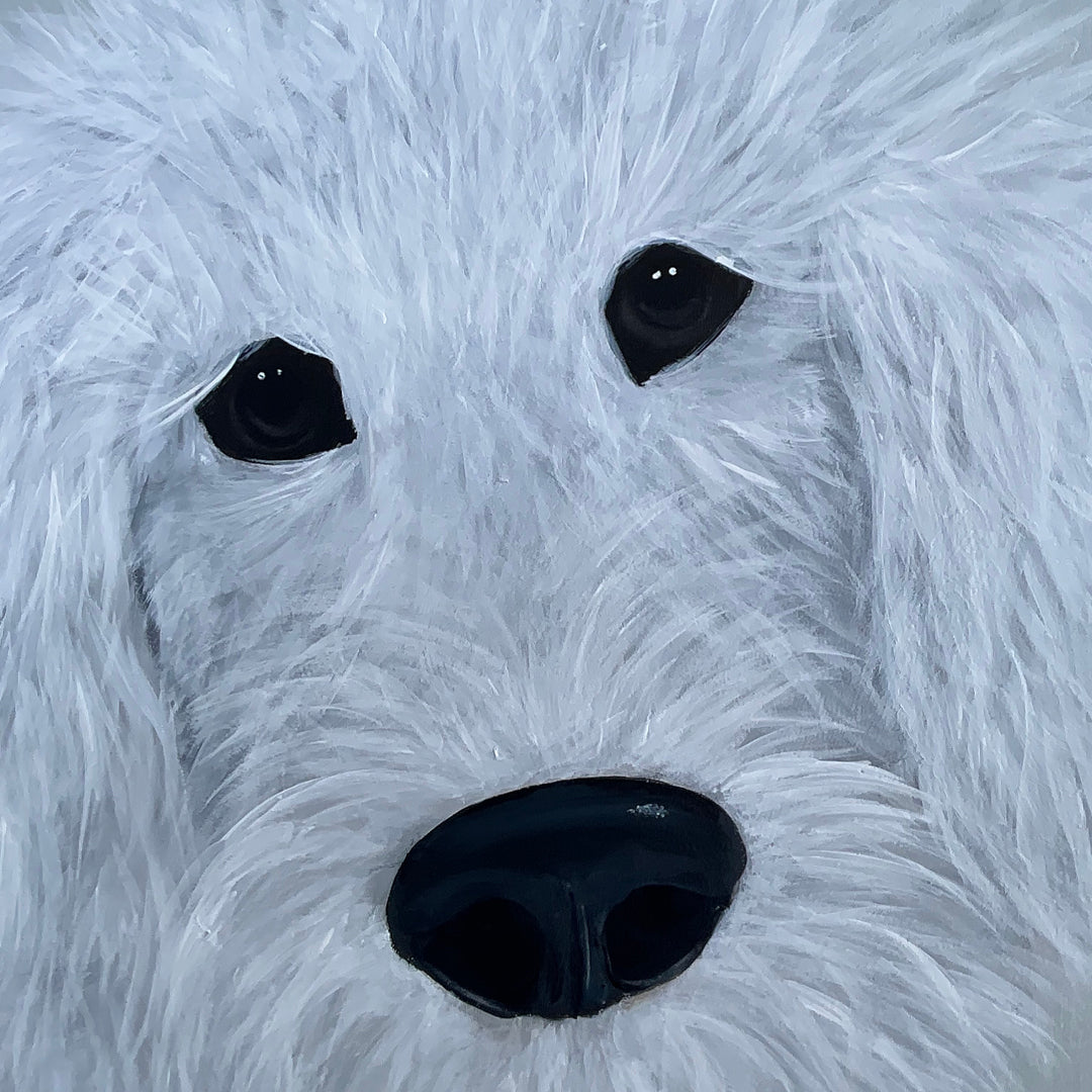 Dog 23001 // 100x120cm 2cm dyb