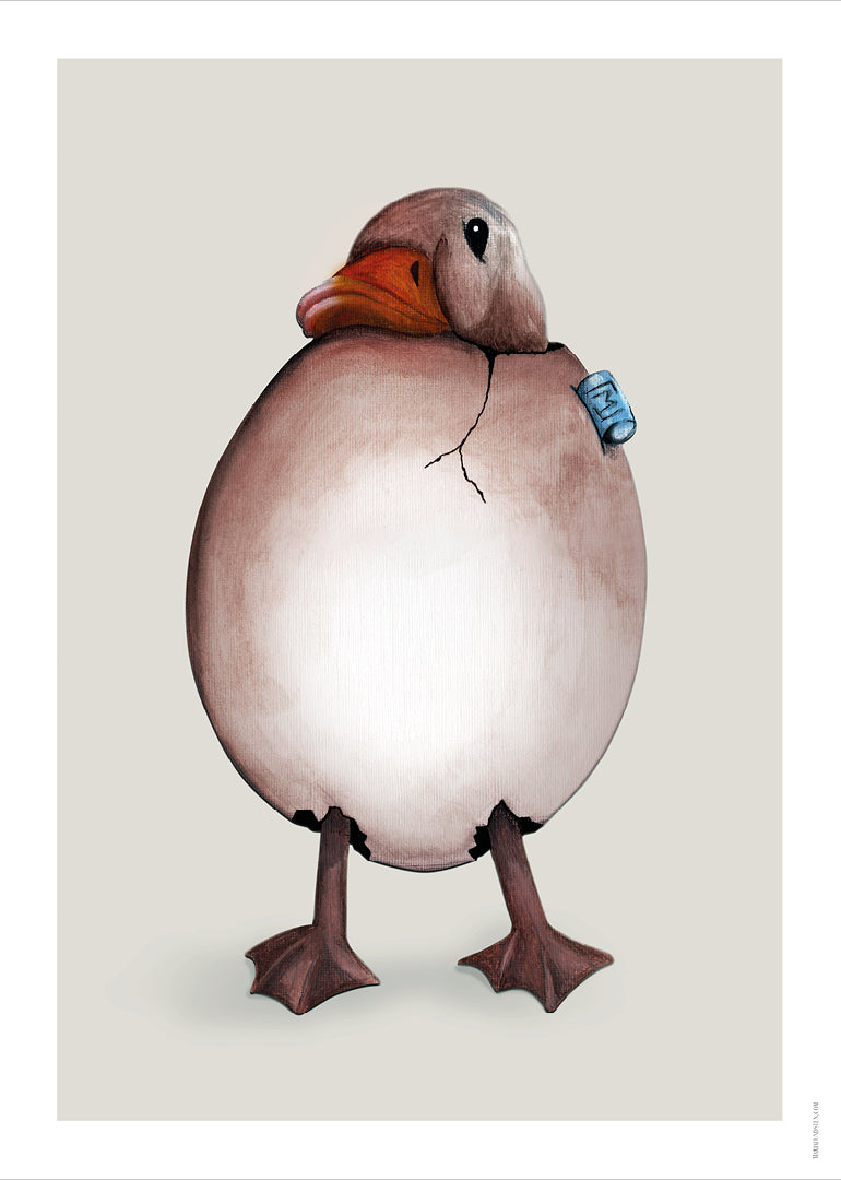 Duck // Anden // No 1