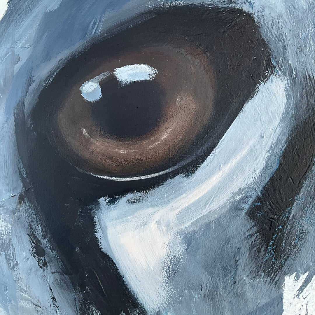 Hide 23003 // 100x120 cm