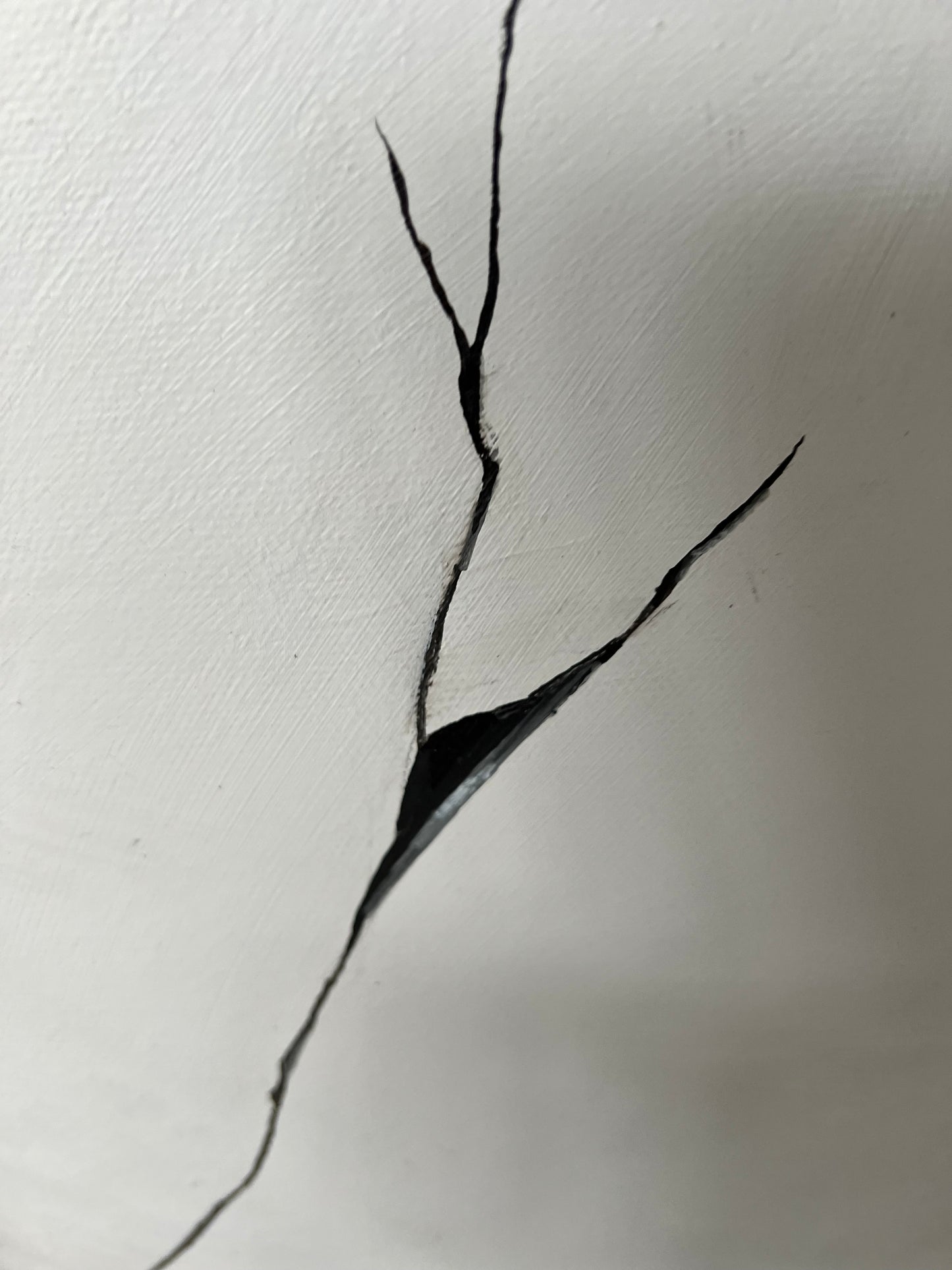 EGGCELLENT SOLUTION // 60x80 cm