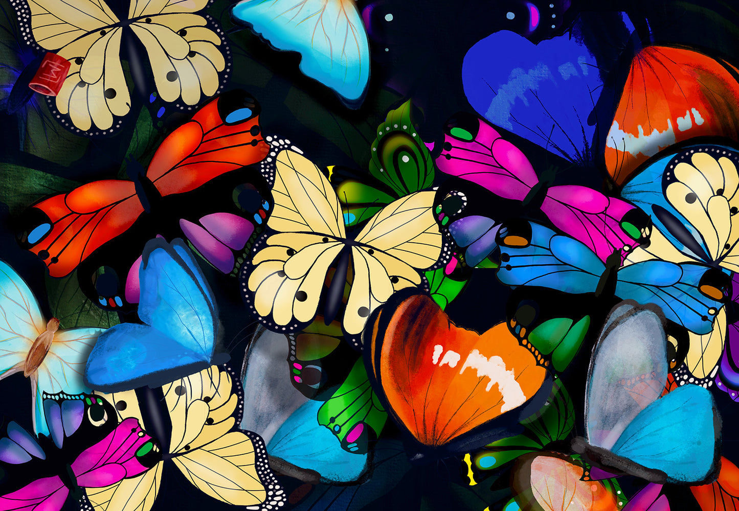 P24001_Butterflies